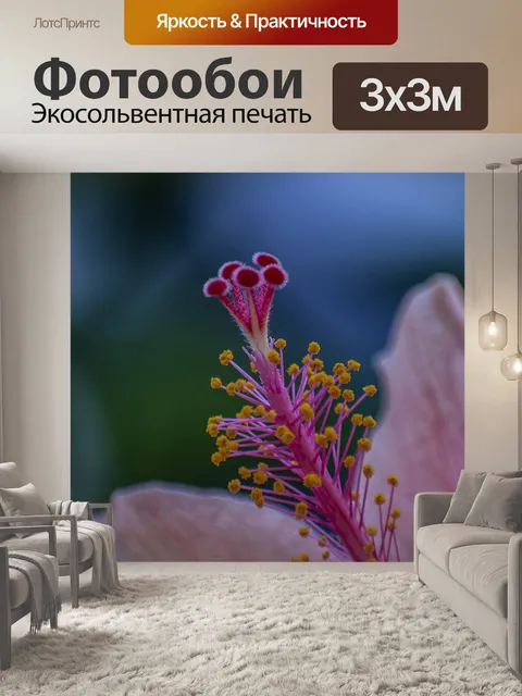 Фотообои Цветок