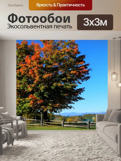 Фотообои Осенние деревья
