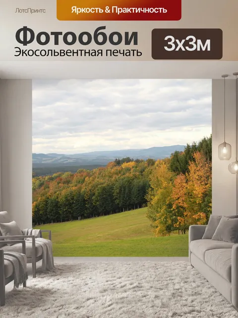 Фотообои Лес