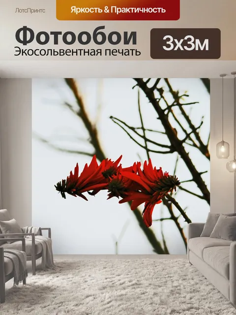 Фотообои цветы на коралловых дерева
