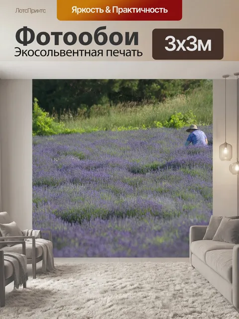 Фотообои Лаванда