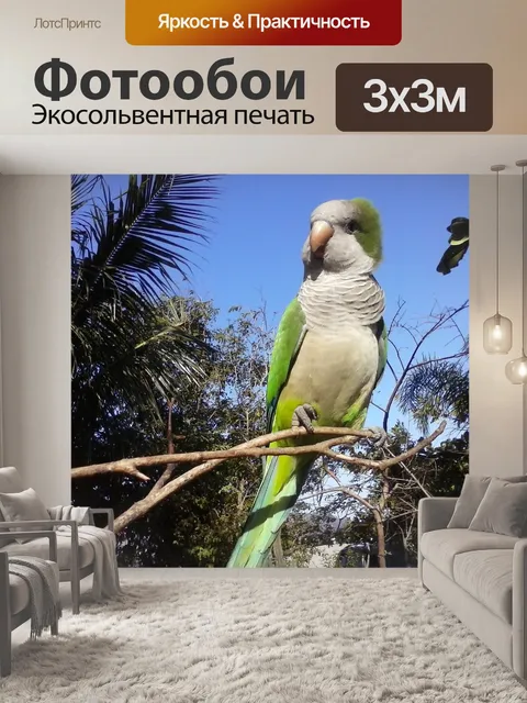Фотообои Птица