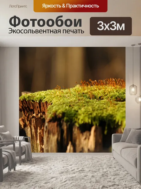 Фотообои Мох