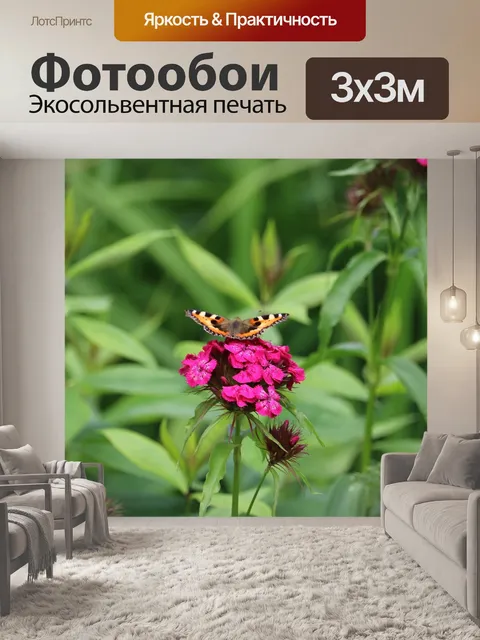 Фотообои Бабочка