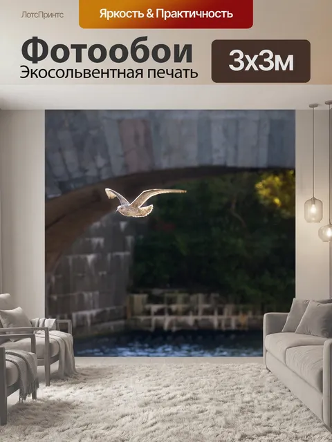 Фотообои Чайка