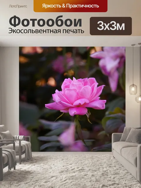 Фотообои Роза