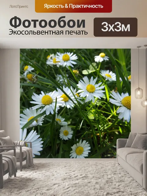 Фотообои Маргаритки