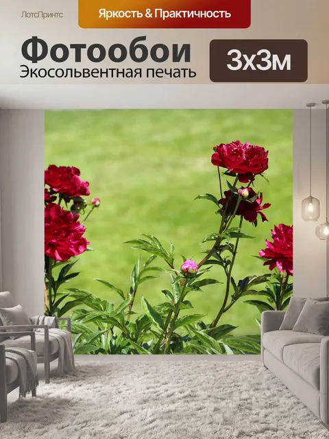 Фотообои Цветы