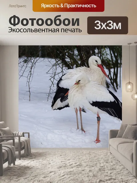 Фотообои Аист