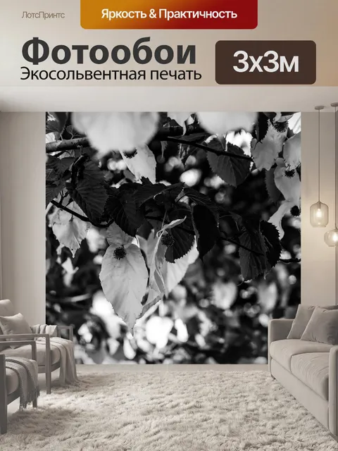Фотообои Davidia involucrata