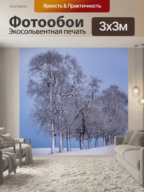 Фотообои Деревья