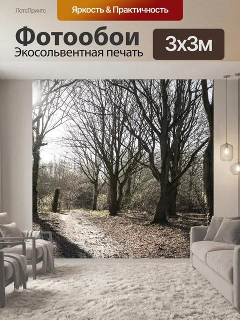 Фотообои Лучи солнца