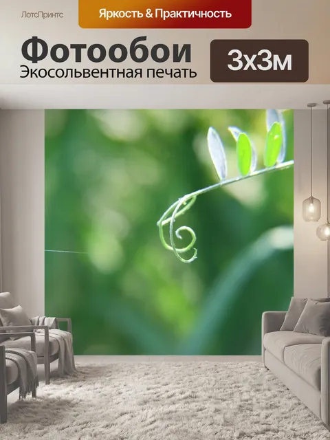 Фотообои Музыка
