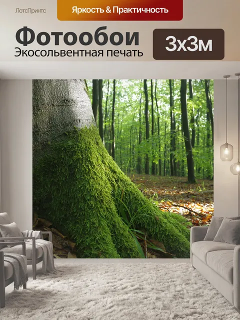 Фотообои Лес