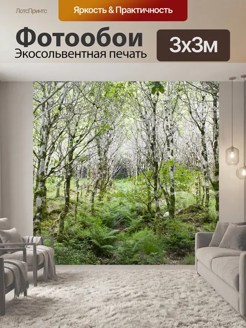 Фотообои Березовый лес