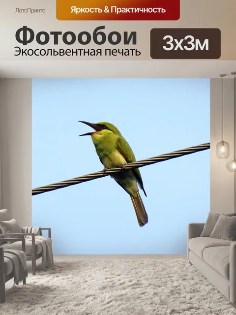 Фотообои Птица
