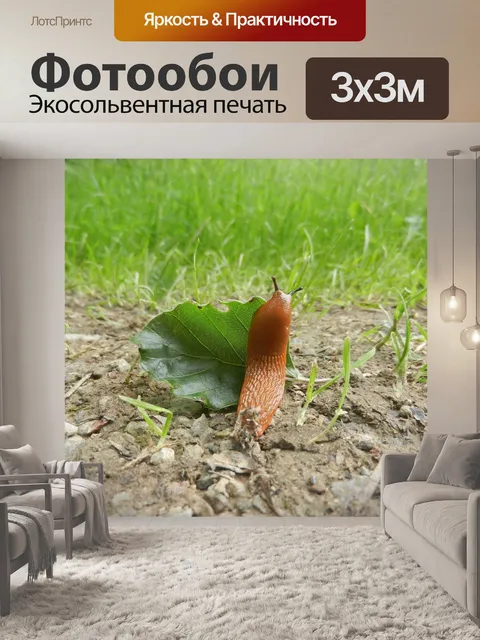 Фотообои Лес