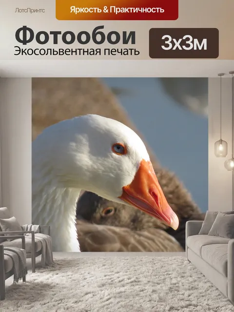 Фотообои Гусь