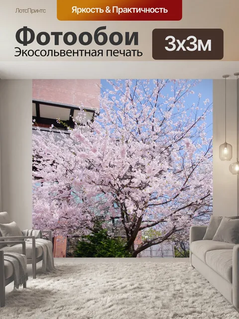 Фотообои Сакура