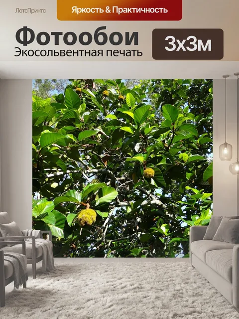 Фотообои Дикий джек