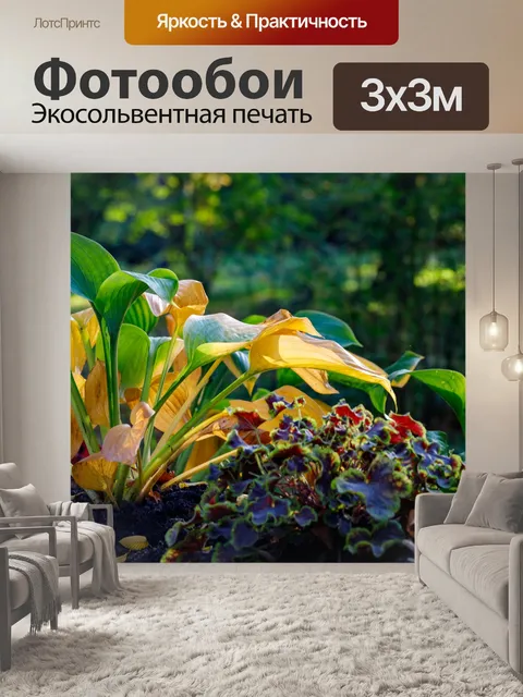 Фотообои Ботанический сад в Быдгоще