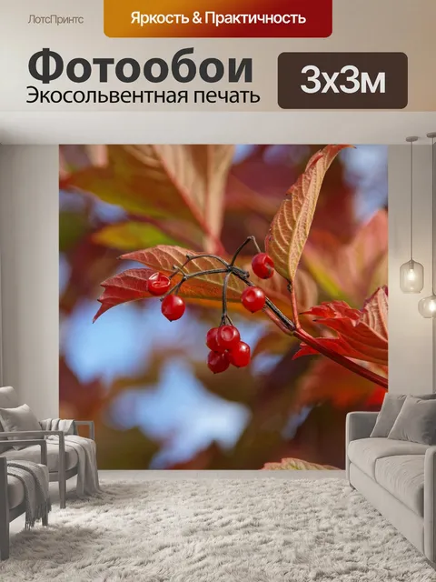 Фотообои Листы