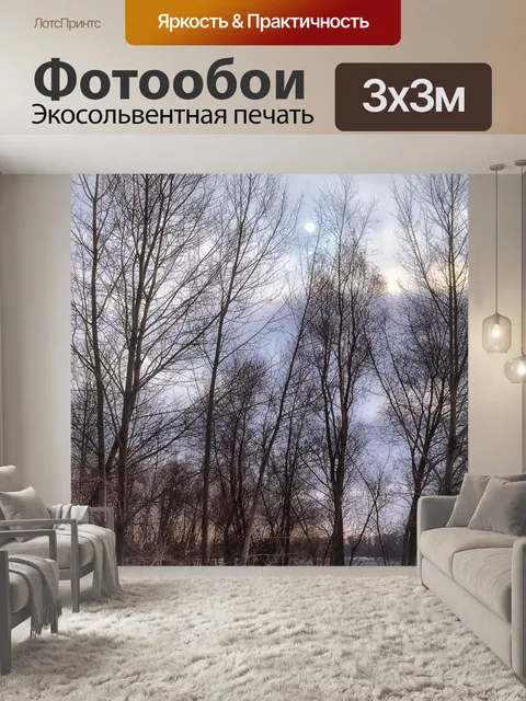Фотообои Зима