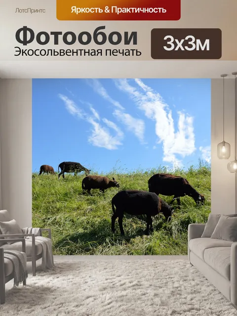 Фотообои Овца