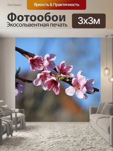 Фотообои Персик