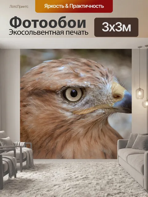 Фотообои Птица