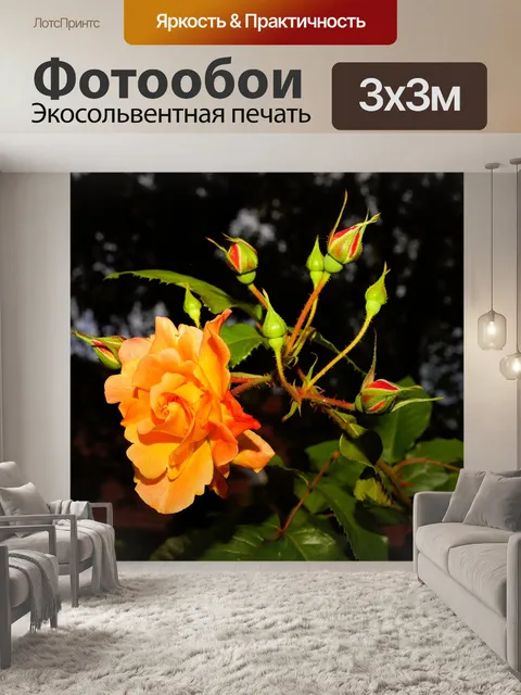 Фотообои Цветок