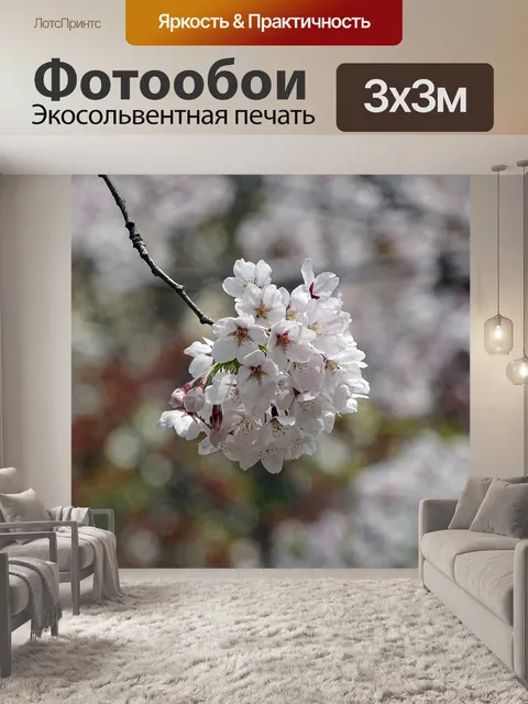 Фотообои Цветение вишни