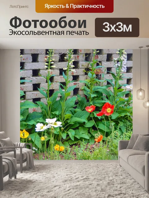 Фотообои Маки