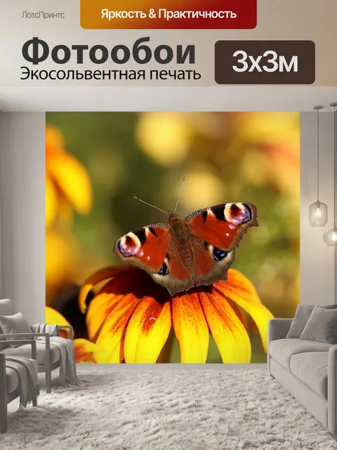 Фотообои Бабочка