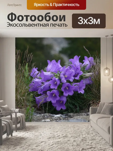 Фотообои Цветок