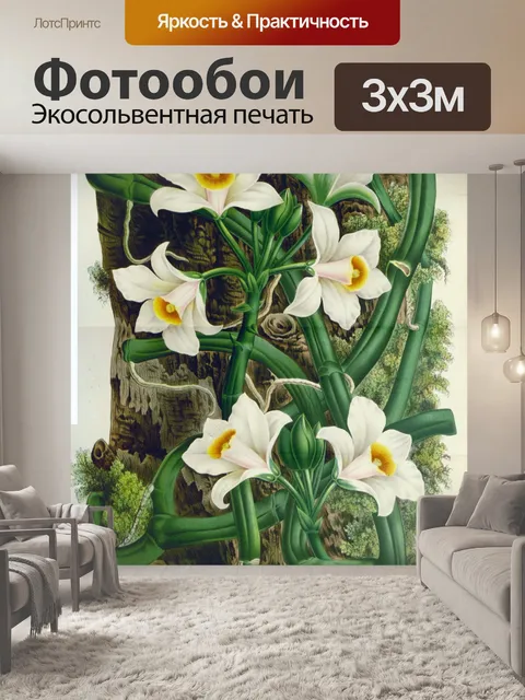Фотообои Старинные ботанические цветы орхидеи