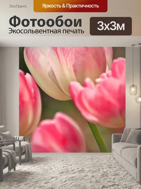 Фотообои Тюльпаны, Розовый