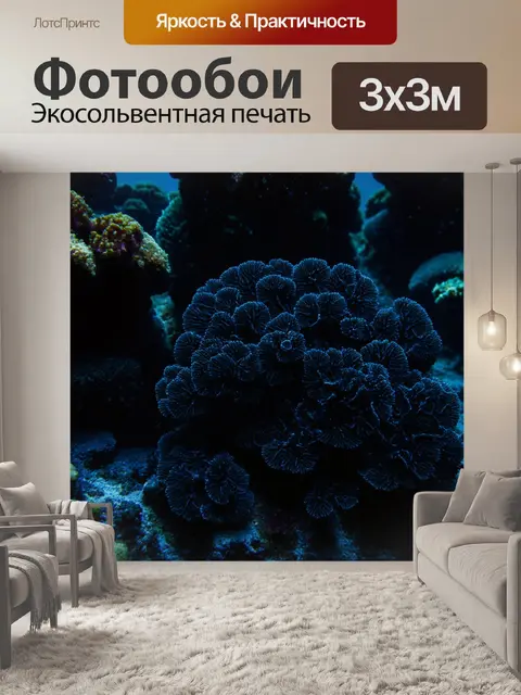 Фотообои черный, оформленные погружающими текстурами, представляющими собой подводный мир с коралловыми рифами