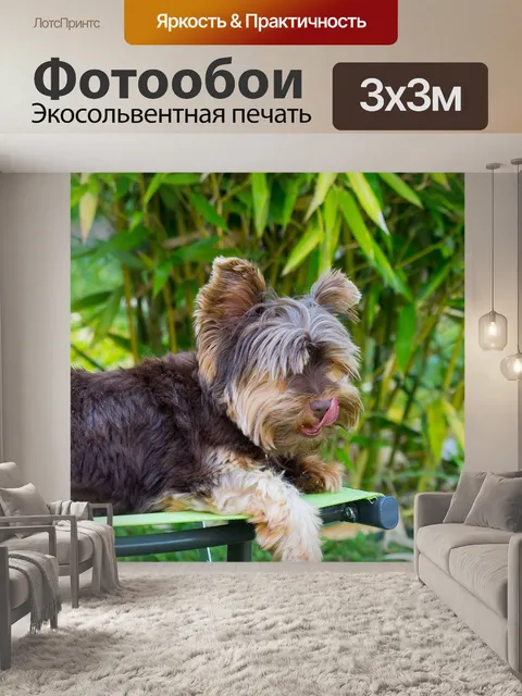 Фотообои Йорки