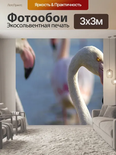 Фотообои Фламинго