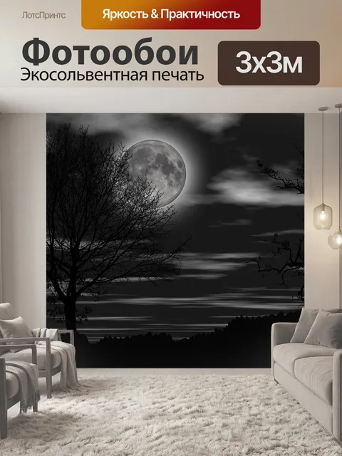 Фотообои Ночь