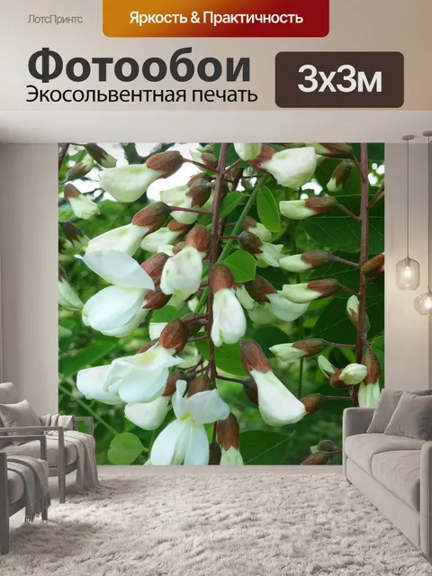 Фотообои Дерево