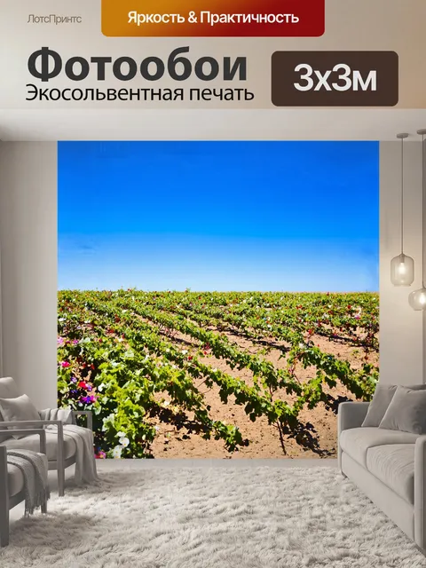 Фотообои пустынный пейзаж разрывают яркие цвета утренней славы