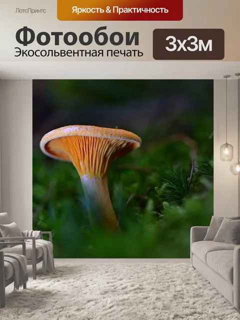 Фотообои Лес