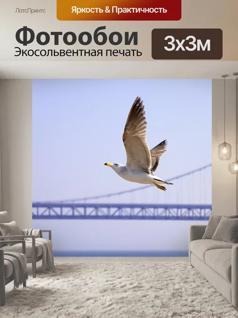 Фотообои Чайка