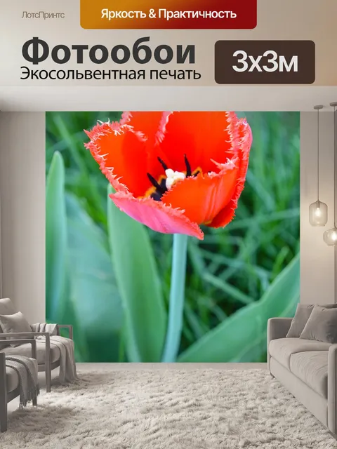 Фотообои Маки