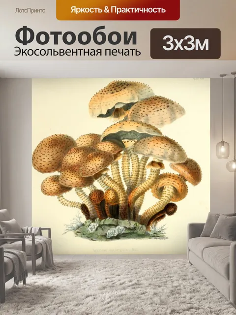 Фотообои Винтажная иллюстрация грибов чемпиона