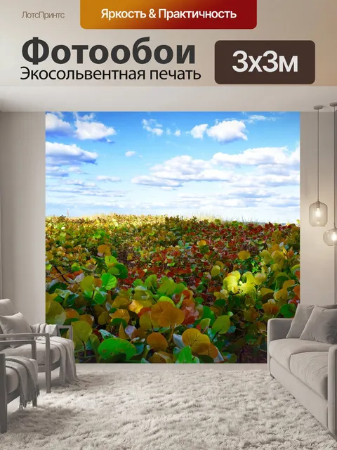 Фотообои Пляж