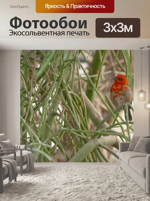 Фотообои Птица