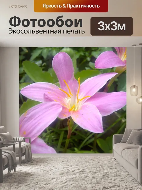 Фотообои Цветы